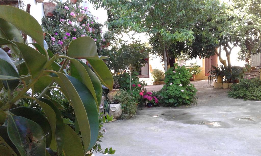 Patio Das Flores Ferreira Do Alentejo Exterior foto
